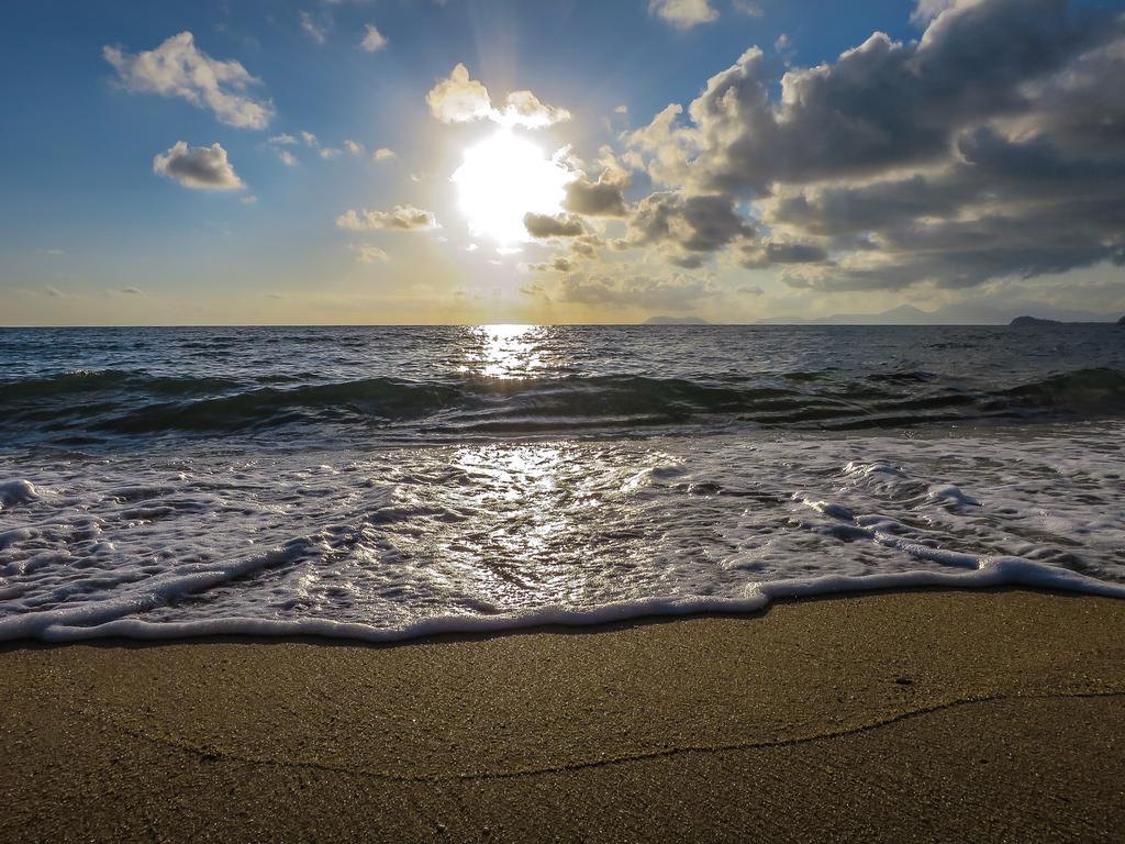 Cairns Beaches Flashpackers Palm Cove Eksteriør billede