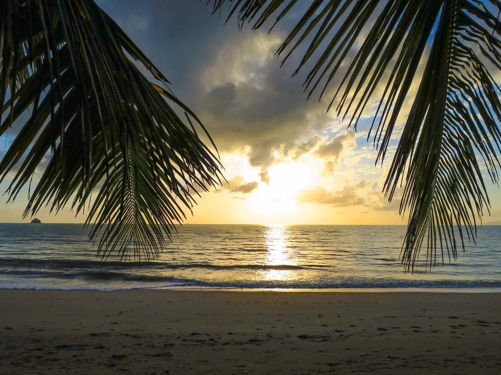 Cairns Beaches Flashpackers Palm Cove Eksteriør billede