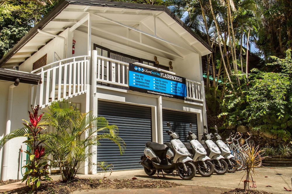 Cairns Beaches Flashpackers Palm Cove Eksteriør billede